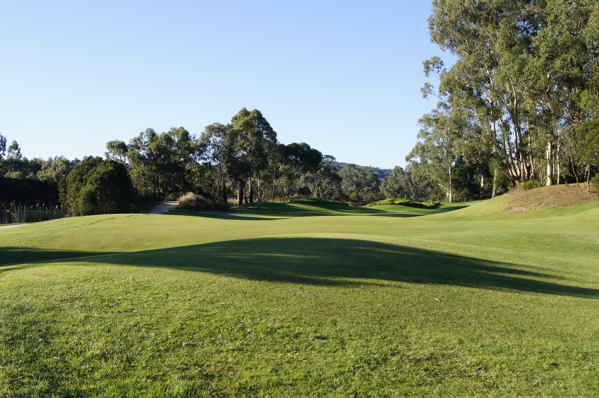 DSC04986 – Berwick Montuna Golf Club